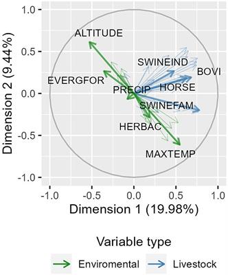 Livestock and environmental characterization of Colombian municipalities: study of vesicular stomatitis